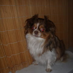 Cayden 09-2009