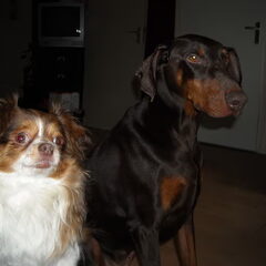 Jut & Jull