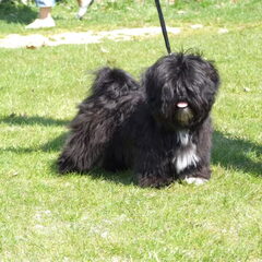 Dit is onze Shamira 7 Maand oud