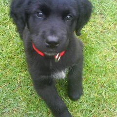 Mijn lieve schat!