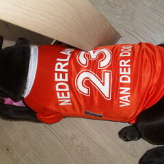 Klaar voor het WK!!!