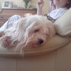 Mazzel op de bank