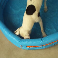 Waterhappen!! Jippieeeeeeee