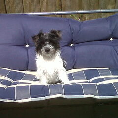 Foei, wat is het warm