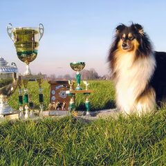 Kampioenen foto Lynn