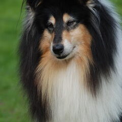 Lynn op de foto 9 jaar