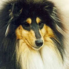Lynn op de foto 1 jaar