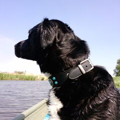 Ollebol gaat altijd gráág mee een rondje varen. Ze zit vaak…