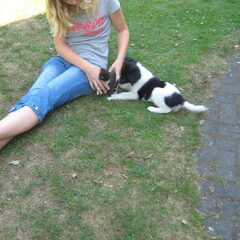 Laika: "de eerste ontmoeting met Lana het baby poesje van 3…