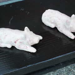 Weer wat nieuws mogen wij eten deze varken. Ziet er wel…