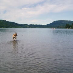 In dit meer stond het water heel laag overal. Je kon de…