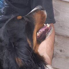 onze lieverd