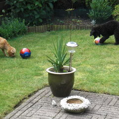 bean en raider. bens is toy en raider is een middelslag…