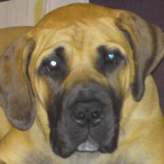 lola 5 mnd