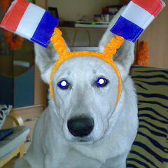 Indra is ook voor oranje !