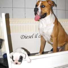 mini en maxi