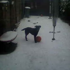 Kyra is helemaal gek van de sneeuw en gek op voetballen,