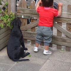 Mijn dochter en Nala wachten op papa