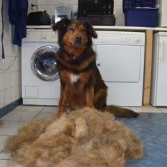 En dit is wat er af kwam