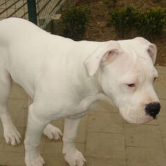 4 maand en net wakker