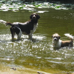 Hier is Storm aan het spelen met Tobias
