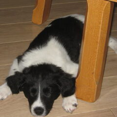 welterusten!