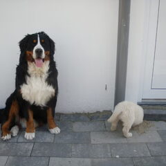 Joe houdt de wacht
