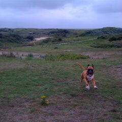 iedere dag even rennen in de duinen