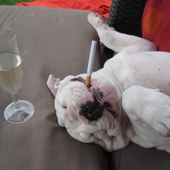 Zwaar feestje gehad ;-)