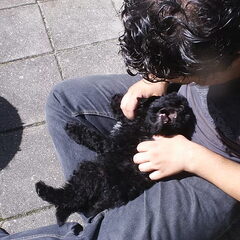 Terry (8 wkn.) met mijn jongste zoon