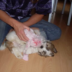 knuffel 'apie' vind rosa erg leuk!