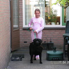 Onze dochter die de hond uitlaat