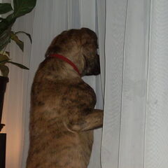 is me vriendin al thuis.