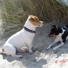 op het strand