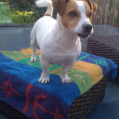 mikey in de tuin