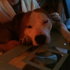 Chucky met zijn hoofdje op tafel.