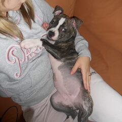 Killa, 12 weekjes