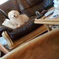 binky op de bank 2