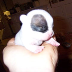 Mijn baby foto