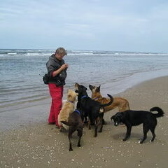 bello aan het strand bijvoorbeeld