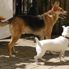 Dit Zijn Max en Flo, op de foto waren ze aan het wachten…
