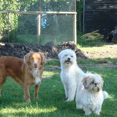 Faith, Denzel en Bella