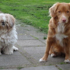 Bella en Faith