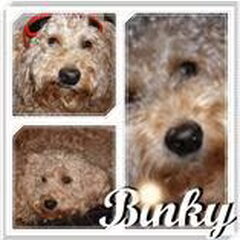 binkytjes.
