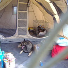 Dewy en Kyra aan het kamperen in Frankrijk 2008