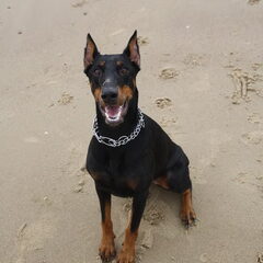 Zohra op het strand!