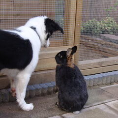 Bindy en Milow