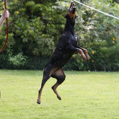 Ik hou van WATERRRRR!