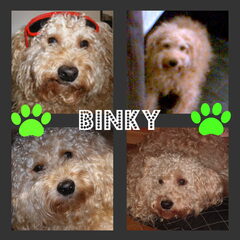 mijn kleine schat op een collage