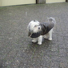 Nog eentje in de sneeuw.....brrrr